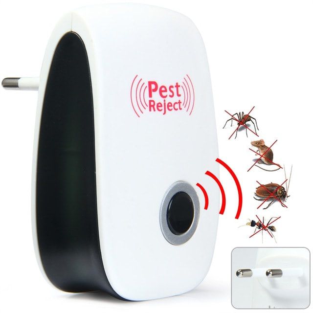 best termite and pest control